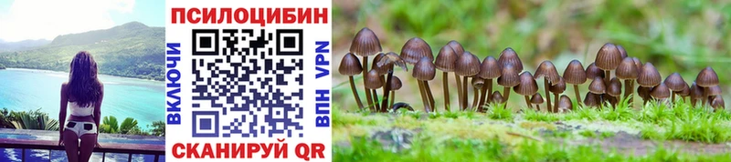 как найти Светлоград Галлюциногенные грибы мухоморы