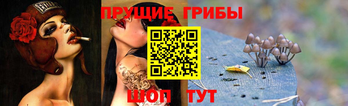 Альфа ПВП Светлоград